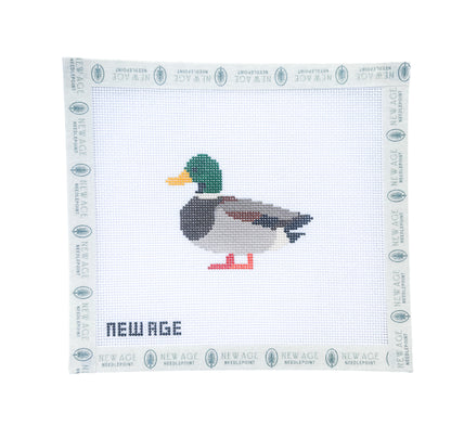 Mallard Duck Canvas