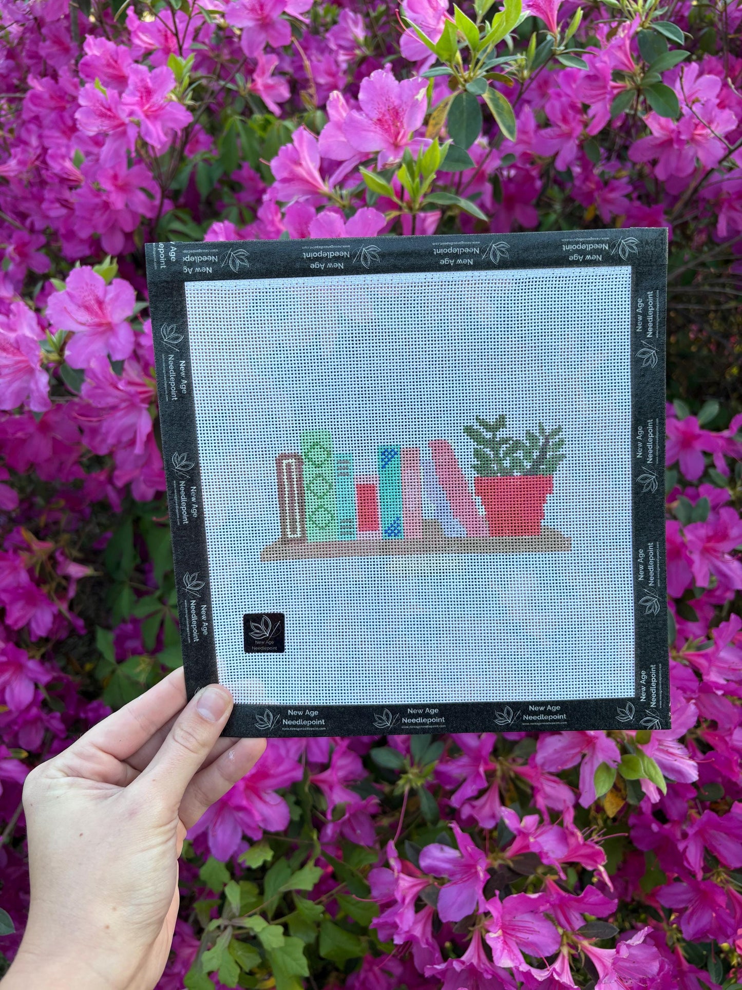 Bookshelf with Plants Canvas